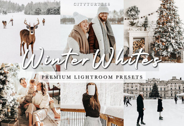 57 پریست لایت روم 2022 عکس زمستان Bright Clean WINTER WHITES Holiday Lightroom Preset