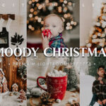61 پریست لایت روم 2022 جشن کریسمس Moody Warm Christmas Lightroom Presets