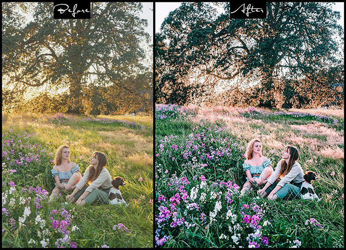 9 پریست لایت روم تم سینمایی و اکشن فتوشاپ Film Luts Photoshop Actions Lightroom Presets