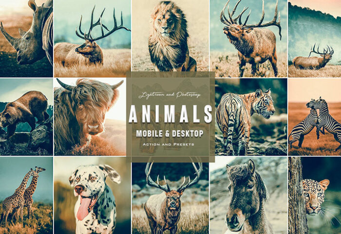 9 پریست لایت روم حیوانات و اکشن فتوشاپ Animals Cinematic Photoshop Actions Presets