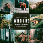 9 پریست لایت روم زندگی جنگلی و اکشن فتوشاپ Wild Life Photoshop Actions Lightroom Presets