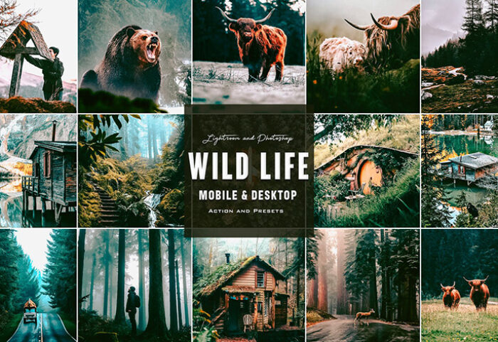 9 پریست لایت روم زندگی جنگلی و اکشن فتوشاپ Wild Life Photoshop Actions Lightroom Presets