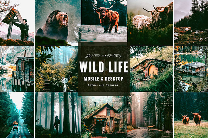 9 پریست لایت روم زندگی جنگلی و اکشن فتوشاپ Wild Life Photoshop Actions Lightroom Presets 9 پریست لایت روم زندگی جنگلی و اکشن فتوشاپ Wild Life Photoshop Actions Lightroom Presets