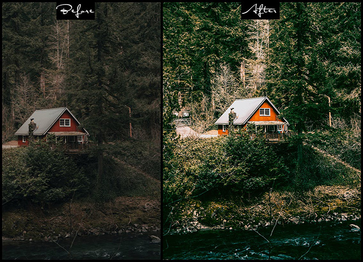 9 پریست لایت روم زندگی جنگلی و اکشن فتوشاپ Wild Life Photoshop Actions Lightroom Presets 9 پریست لایت روم زندگی جنگلی و اکشن فتوشاپ Wild Life Photoshop Actions Lightroom Presets