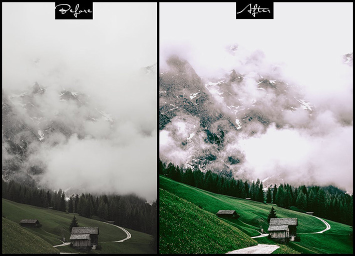 9 پریست لایت روم زندگی جنگلی و اکشن فتوشاپ Wild Life Photoshop Actions Lightroom Presets