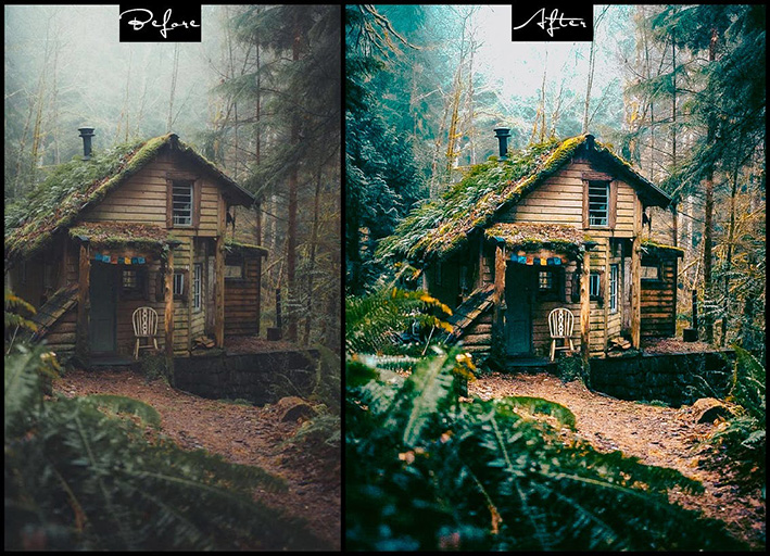 9 پریست لایت روم زندگی جنگلی و اکشن فتوشاپ Wild Life Photoshop Actions Lightroom Presets 9 پریست لایت روم زندگی جنگلی و اکشن فتوشاپ Wild Life Photoshop Actions Lightroom Presets