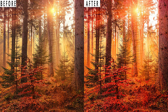 9 پریست لایت روم عکس پاییز و اکشن فتوشاپ Landscape Tone Photoshop Action Lightrom Presets