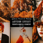 9 پریست لایت روم فصل پاییز و اکشن فتوشاپ Autumn Photoshop Action Lightrom Presets