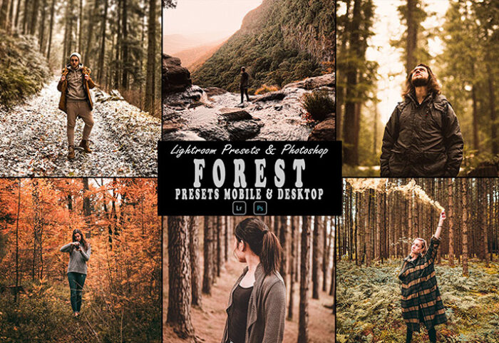 9 پریست لایت روم پاییز و اکشن فتوشاپ Forest Tone Photoshop Action Lightrom Presets