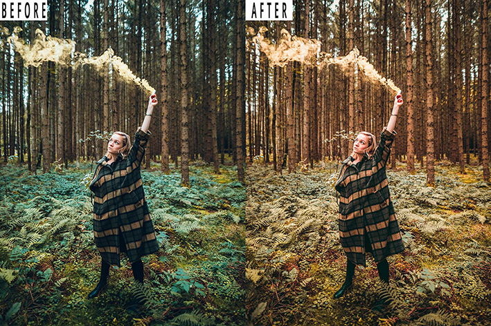 9 پریست لایت روم پاییز و اکشن فتوشاپ Forest Tone Photoshop Action Lightrom Presets