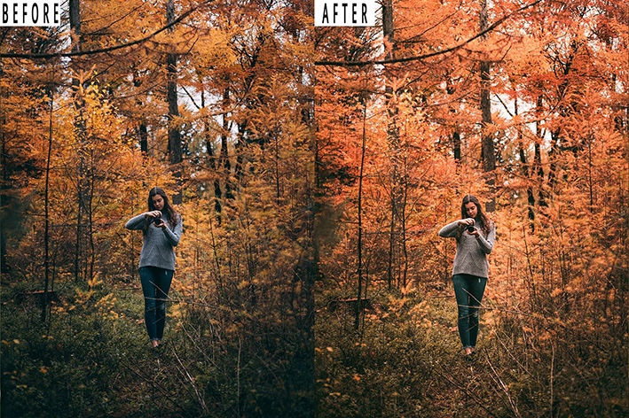 9 پریست لایت روم پاییز و اکشن فتوشاپ Forest Tone Photoshop Action Lightrom Presets 9 پریست لایت روم پاییز و اکشن فتوشاپ Forest Tone Photoshop Action Lightrom Presets