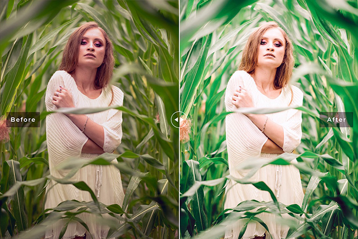 40 پریست لایت روم پرتره و پریست کمرا راو و اکشن فتوشاپ تابستان سبز Green Iguana Lightroom Presets