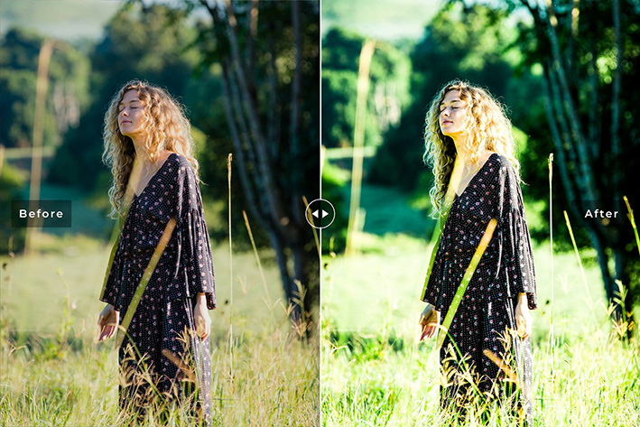 40 پریست لایت روم پرتره و پریست کمرا راو و اکشن فتوشاپ تابستان سبز Green Iguana Lightroom Presets