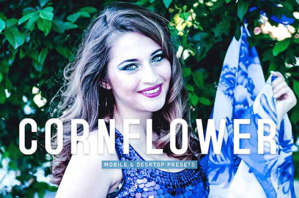 40 پریست لایت روم پرتره و پریست کمرا راو و اکشن فتوشاپ تم بنفش Cornflower Lightroom Presets