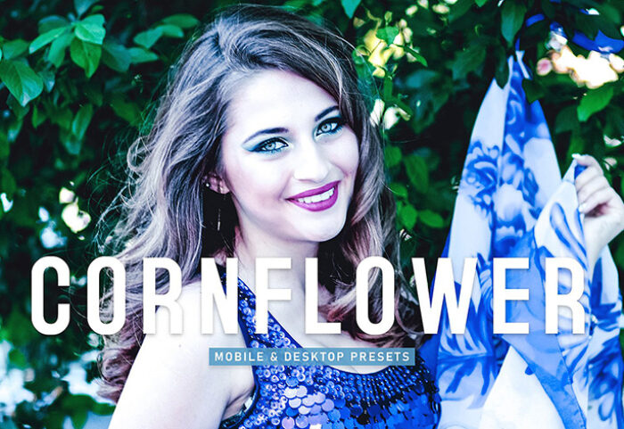 40 پریست لایت روم پرتره و پریست کمرا راو و اکشن فتوشاپ تم بنفش Cornflower Lightroom Presets