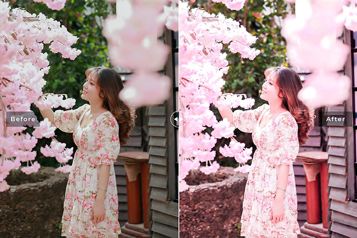 40 پریست لایت روم پرتره و پریست کمرا راو و اکشن فتوشاپ تم بهار Cyclamen Lightroom Presets