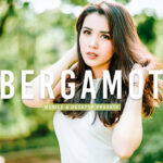 40 پریست لایت روم پرتره و پریست کمرا راو و اکشن فتوشاپ تم ترنج Bergamot Lightroom Presets