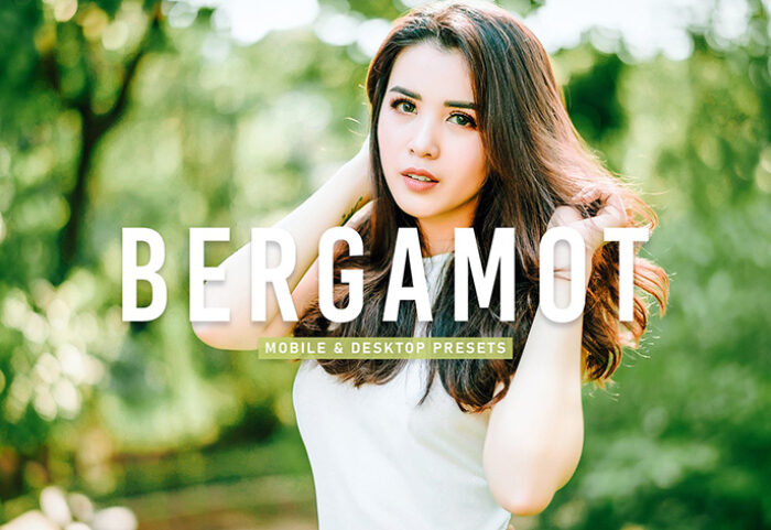 40 پریست لایت روم پرتره و پریست کمرا راو و اکشن فتوشاپ تم ترنج Bergamot Lightroom Presets