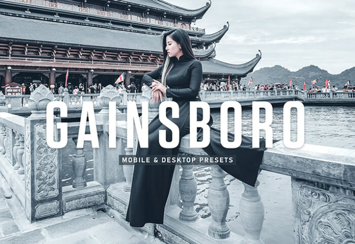 40 پریست لایت روم پرتره و پریست کمرا راو و اکشن فتوشاپ تم تیره Gainsboro Lightroom Presets