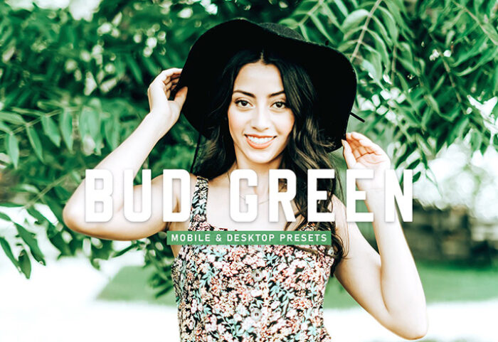 40 پریست لایت روم پرتره و پریست کمرا راو و اکشن فتوشاپ تم جوانه سبز Bud Green Lightroom Presets