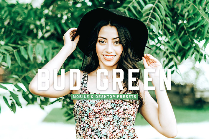 40 پریست لایت روم پرتره و پریست کمرا راو و اکشن فتوشاپ تم جوانه سبز Bud Green Lightroom Presets 40 پریست لایت روم پرتره و پریست کمرا راو و اکشن فتوشاپ تم جوانه سبز Bud Green Lightroom Presets