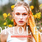 40 پریست لایت روم پرتره و پریست کمرا راو و اکشن فتوشاپ تم رنگی گرم Orioles Lightroom Presets