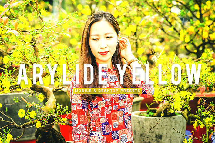 40 پریست لایت روم پرتره و پریست کمرا راو و اکشن فتوشاپ تم سرسبز Arylide Yellow Lightroom Presets 40 پریست لایت روم پرتره و پریست کمرا راو و اکشن فتوشاپ تم سرسبز Arylide Yellow Lightroom Presets