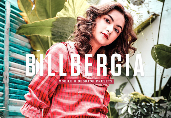 40 پریست لایت روم پرتره و پریست کمرا راو و اکشن فتوشاپ تم شاداب Billbergia Lightroom Presets