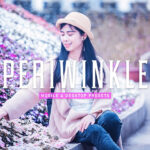 40 پریست لایت روم پرتره و پریست کمرا راو و اکشن فتوشاپ تم شقایق Periwinkle Lightroom Presets V2