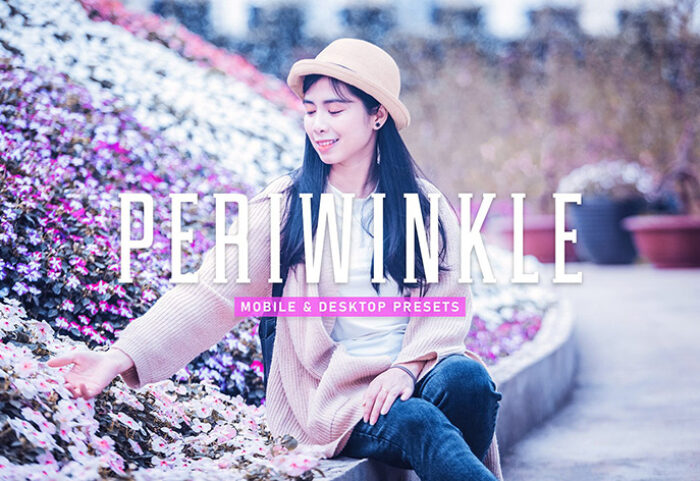 40 پریست لایت روم پرتره و پریست کمرا راو و اکشن فتوشاپ تم شقایق Periwinkle Lightroom Presets V2