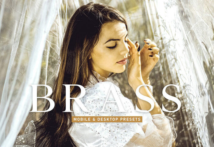 40 پریست لایت روم پرتره و پریست کمرا راو و اکشن فتوشاپ تم شکلاتی Brass Lightroom Presets