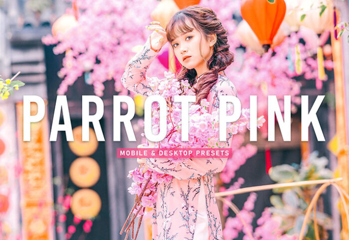 40 پریست لایت روم پرتره و پریست کمرا راو و اکشن فتوشاپ تم طوطی صورتی Parrot Pink Lightroom Presets