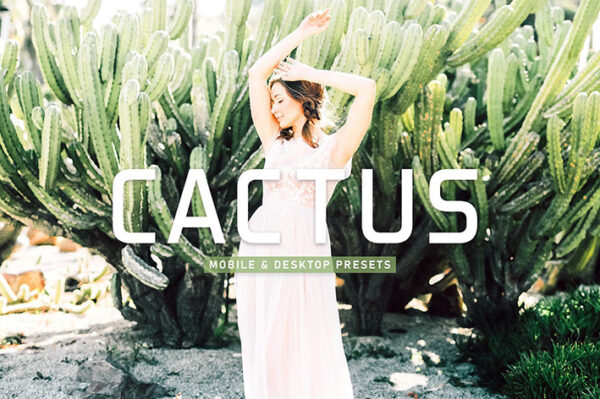 40 پریست لایت روم پرتره و پریست کمرا راو و اکشن فتوشاپ تم کاکتوس Cactus Lightroom Presets