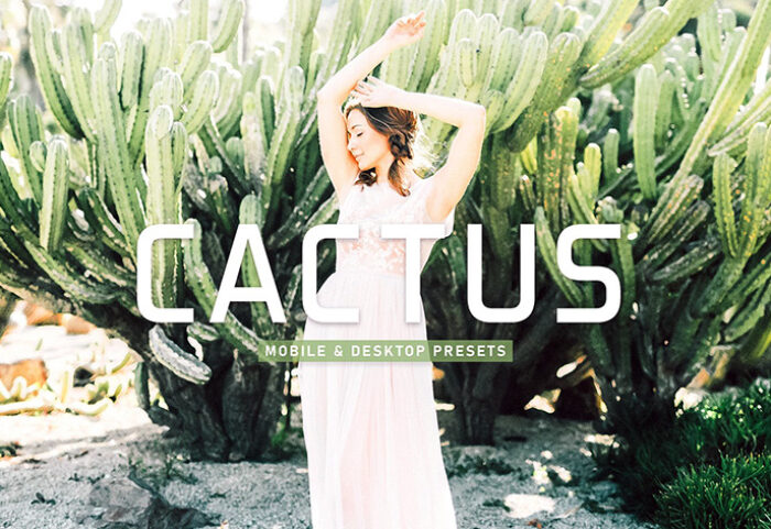 40 پریست لایت روم پرتره و پریست کمرا راو و اکشن فتوشاپ تم کاکتوس Cactus Lightroom Presets