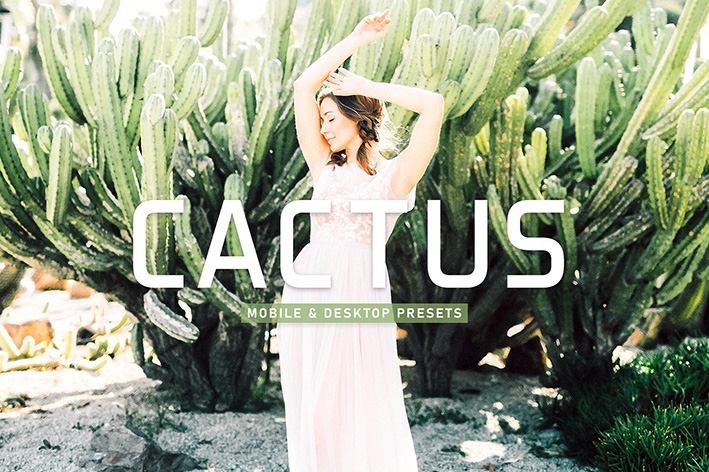 40 پریست لایت روم پرتره و پریست کمرا راو و اکشن فتوشاپ تم کاکتوس Cactus Lightroom Presets 40 پریست لایت روم پرتره و پریست کمرا راو و اکشن فتوشاپ تم کاکتوس Cactus Lightroom Presets