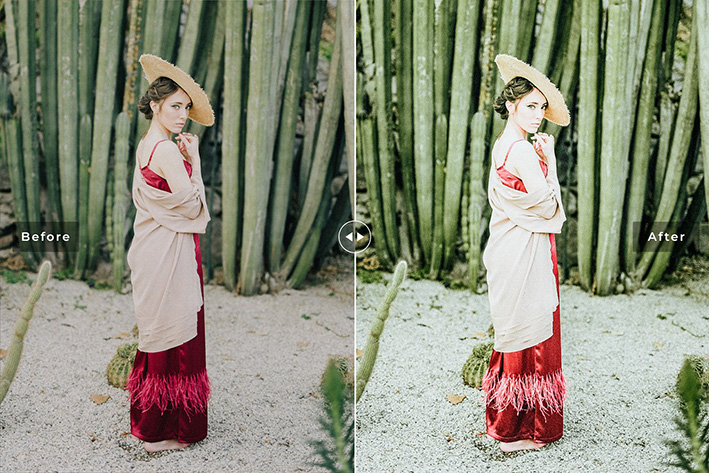 40 پریست لایت روم پرتره و پریست کمرا راو و اکشن فتوشاپ تم کاکتوس Cactus Lightroom Presets