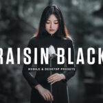 40 پریست لایت روم پرتره و پریست کمرا راو و اکشن فتوشاپ تم کشمش سیاه Raisin Black Lightroom Presets