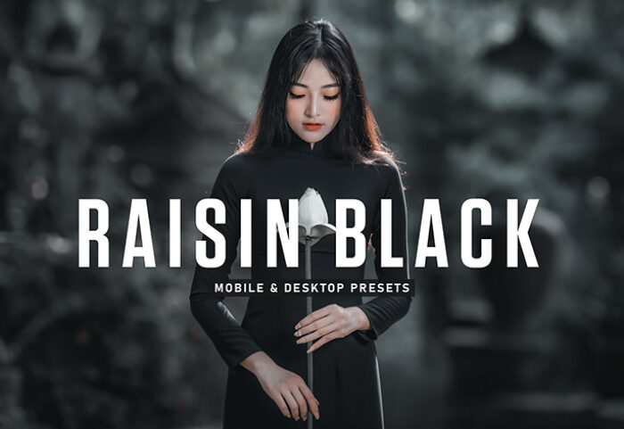 40 پریست لایت روم پرتره و پریست کمرا راو و اکشن فتوشاپ تم کشمش سیاه Raisin Black Lightroom Presets