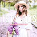40 پریست لایت روم پرتره و پریست کمرا راو و اکشن فتوشاپ تم گل رز Misty Rose Lightroom Presets V2