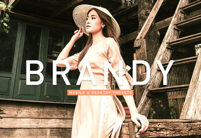 40 پریست لایت روم پرتره و پریست کمرا راو و اکشن فتوشاپ پرتره مدلینگ Brandy Lightroom Presets
