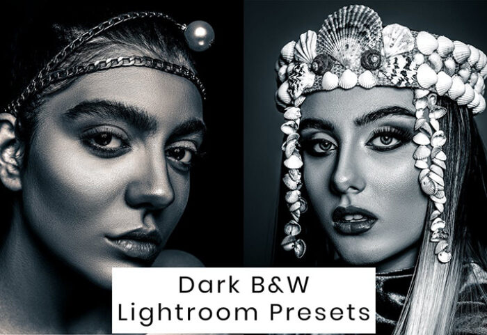 10 پریست لایت روم حرفه ای سیاه و سفید Dark B&W Lightroom Presets