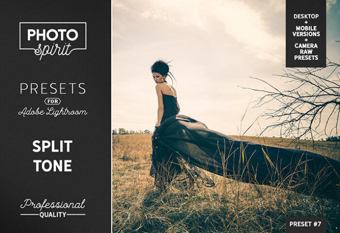 20 پریست لایت روم و کمرا راو 2022 تم سینماتیک Split Tone Lightroom Presets