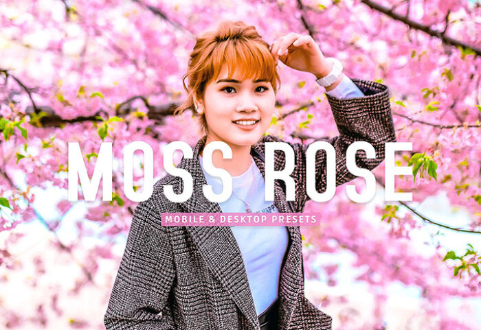 40 پریست لایت روم و پریست کمرا راو و اکشن فتوشاپ تم بهار Moss Rose Lightroom Presets