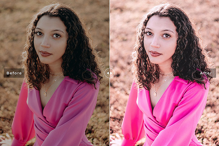 40 پریست لایت روم و پریست کمرا راو و اکشن فتوشاپ تم بهاری Hollyhock Lightroom Presets