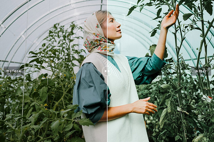 40 پریست لایت روم و پریست کمرا راو و اکشن فتوشاپ فصل بهار Basil Lightroom Presets