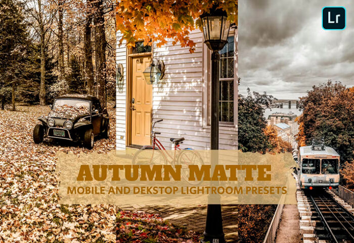 14 پریست لایت روم 2022 فصل پاییز Autumn Matte Lightroom Presets