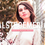 40 پریست لایت روم پرتره فضای باز و پریست کمرا راو و اکشن فتوشاپ Alstroemeria Lightroom Presets