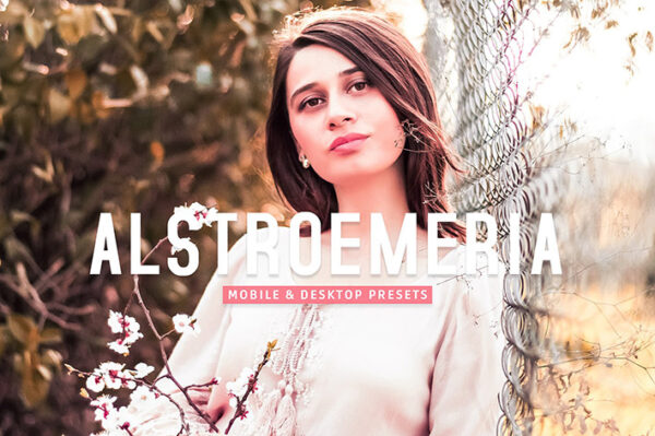 40 پریست لایت روم پرتره فضای باز و پریست کمرا راو و اکشن فتوشاپ Alstroemeria Lightroom Presets