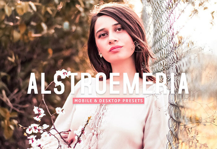 40 پریست لایت روم پرتره فضای باز و پریست کمرا راو و اکشن فتوشاپ Alstroemeria Lightroom Presets