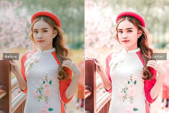 40 پریست لایت روم پرتره فضای باز و پریست کمرا راو و اکشن فتوشاپ Alstroemeria Lightroom Presets